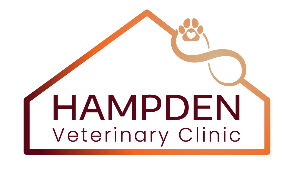 Hampden Veterinary Clinic